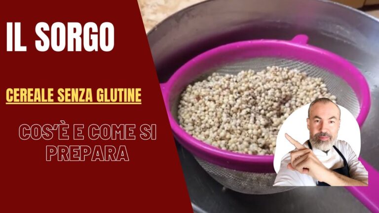 Sorgo Bianco: Caratteristiche e Utilizzi