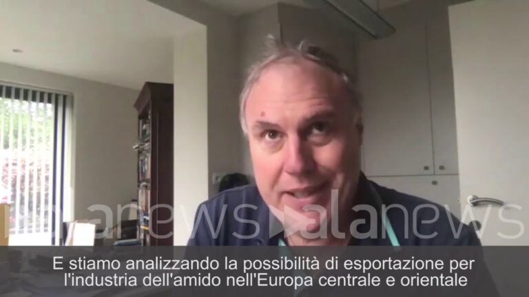 Patatine a due: la guida definitiva alla condivisione