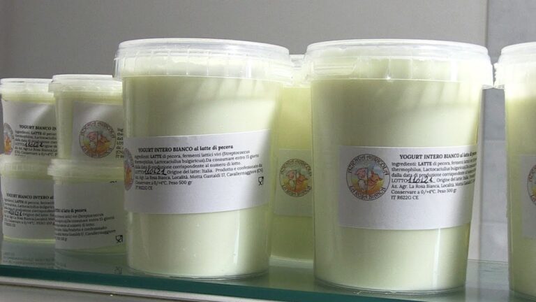 Yogurt di Pecora: Benefici e Ricette Salutari