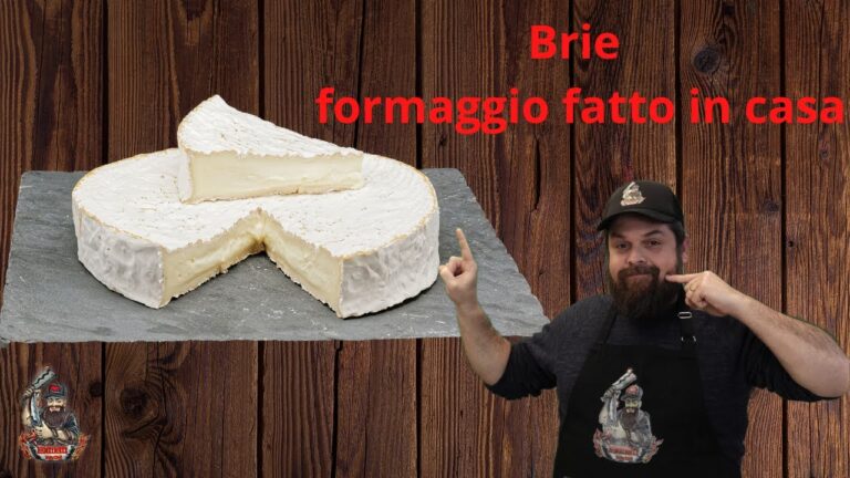 Guida al Coulommiers: tutto quello che devi sapere sul formaggio