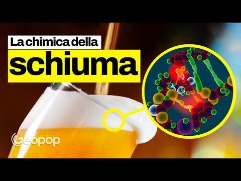 La birra: un’alternativa ricca di proteine
