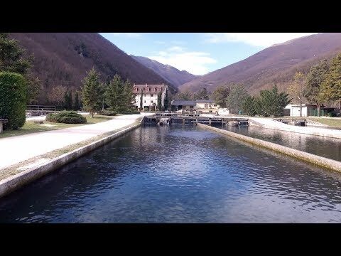La Pesce Coop: Ottimizzazione e Concisione