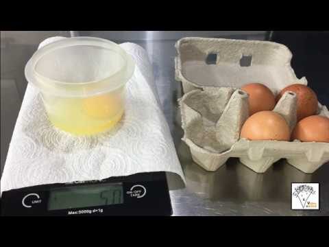 Guida completa alle migliori ricette con le uova medie