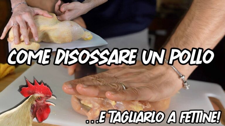 Porzione ideale di petto di pollo per persona: guida completa