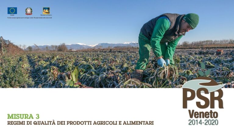 Misura Prodotti: Ottimizzazione delle Misure e dell’Efficienza