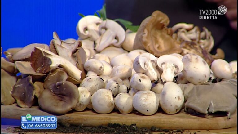 Le propriet&agrave; salutari dei funghi Pleurotus