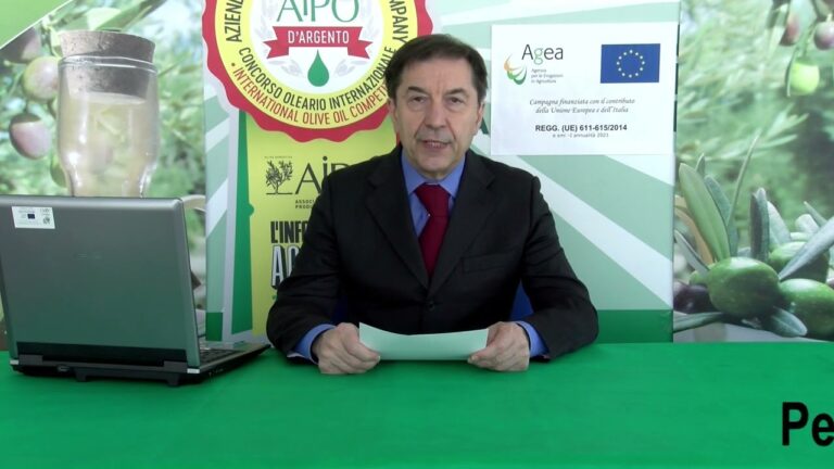 Il peso di un’oliva: tutto ciò che devi sapere
