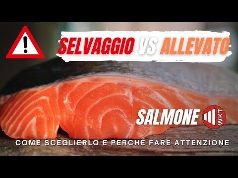 Salmone Selvaggio: Il Migliore da Lidl