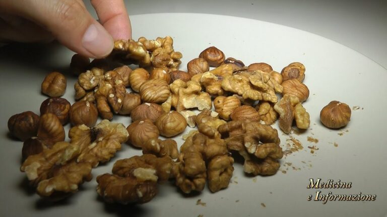 Il Valore Nutrizionale degli Anacardi
