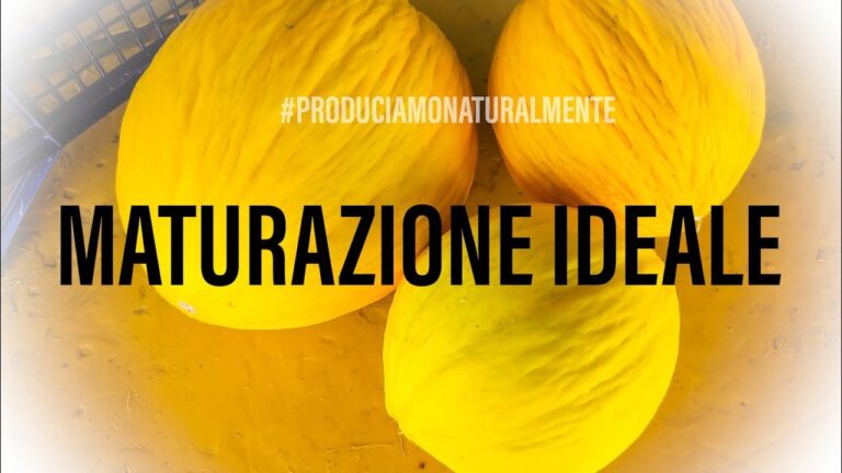 Calorie nel pandoro: quantità per fetta