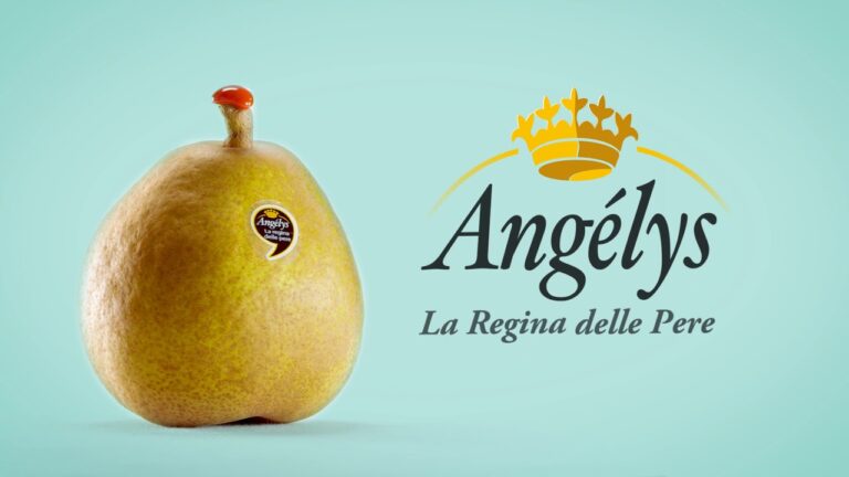 La vita e l’opera di Pere Angelys