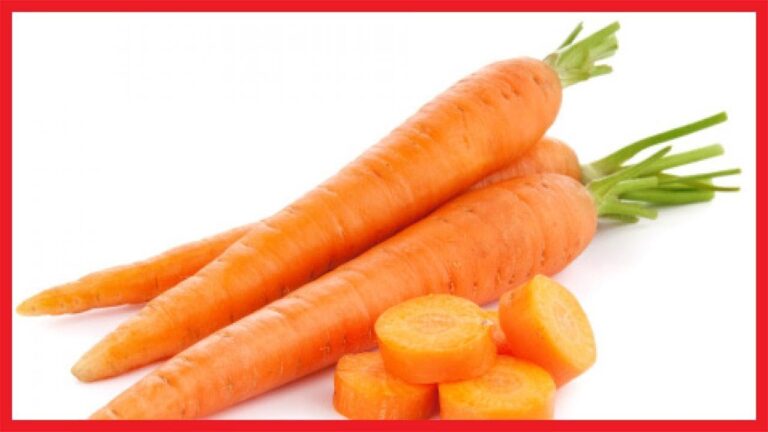 Calorie della carota: tutto ciò che devi sapere
