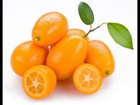 Calorie di un mandarino: quante ne contiene?