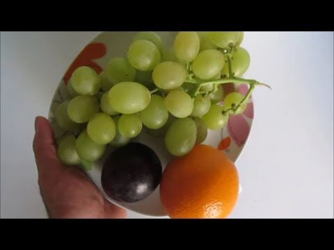 Calorie dell’Uva: Quante Ne Contiene?