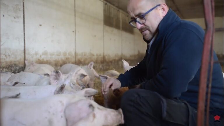 La Fattoria delle Cose Buone: Un’Eccellenza Aziendale