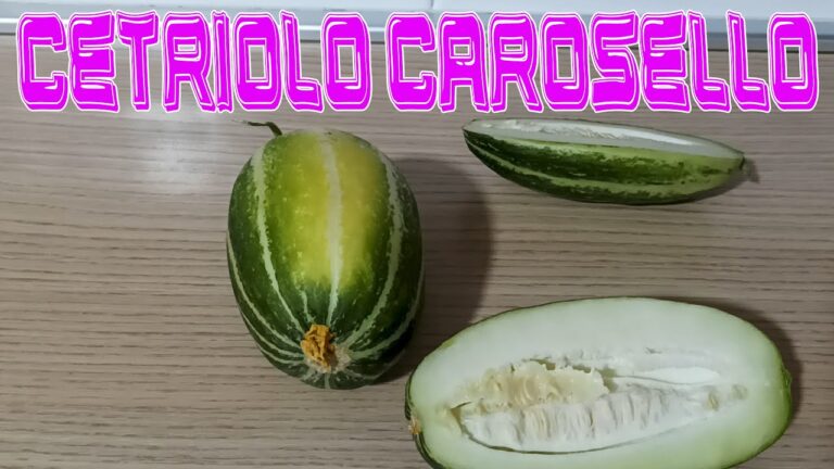 Cetrioli Tondi Pugliesi: Caratteristiche e Utilizzi