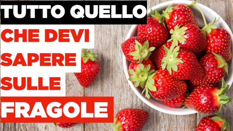 Fragola: Contenuto Calorico e Benefici per la Salute