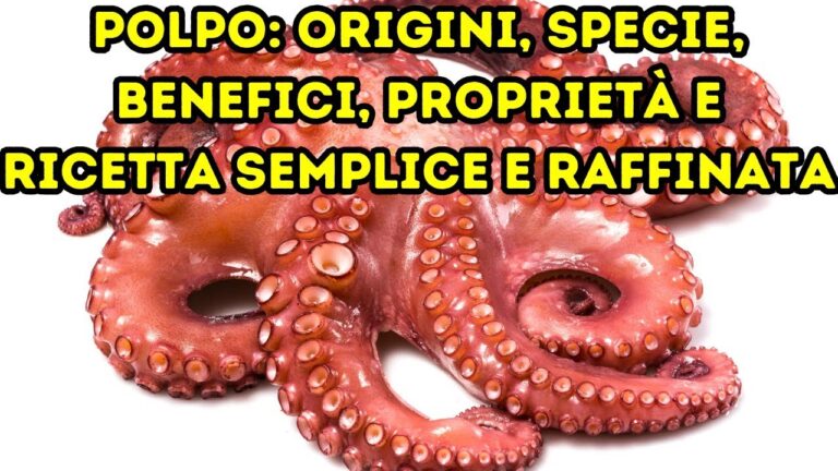 Le sorprendenti proprietà nutrizionali del polpo
