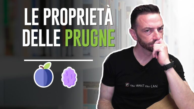 Prugna: Guida completa sull’Indice Glicemico