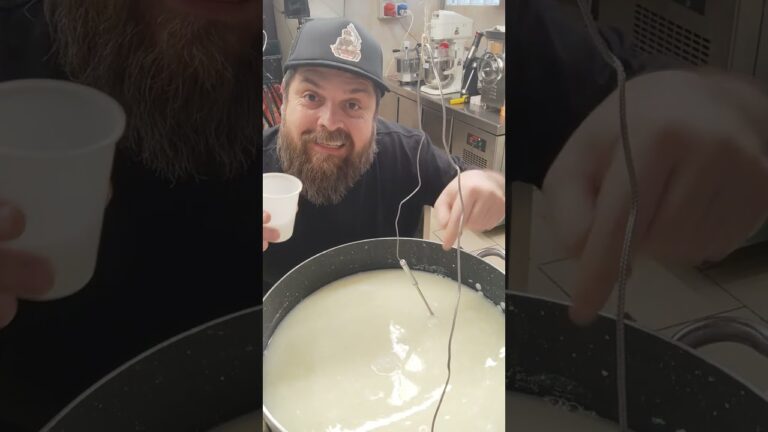 Primo Sale: Il Formaggio Senza Lattosio