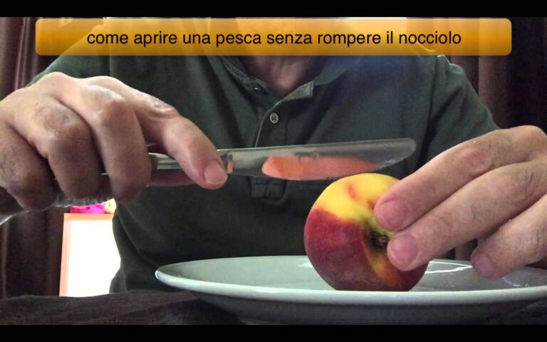 Valori Nutrizionali di Percoca