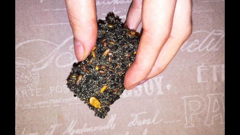 Le migliori ricette di cracker norvegesi