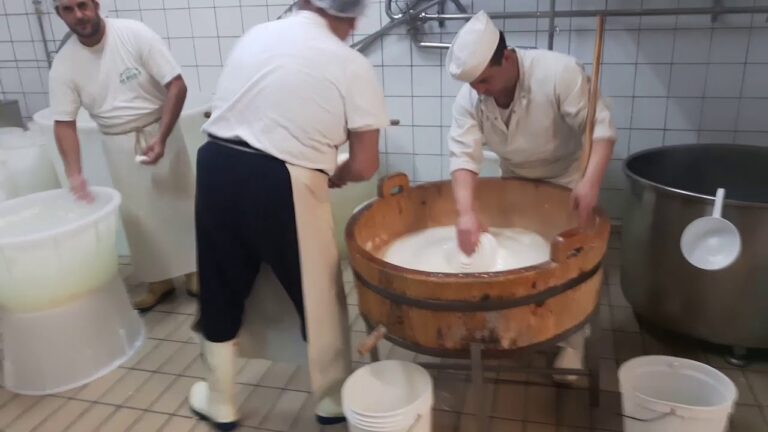 La Mozzarella di Mondragone: Un Gusto Autentico