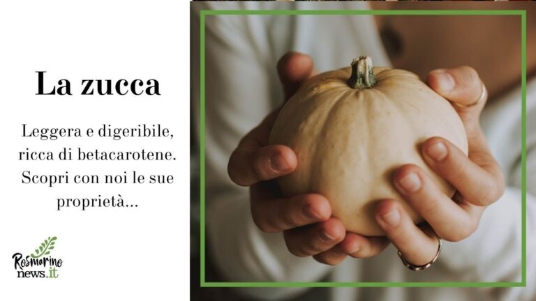 Calorie semi di zucca: 100 grammi