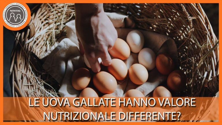 Guida alla Tabella Nutrizionale delle Uova