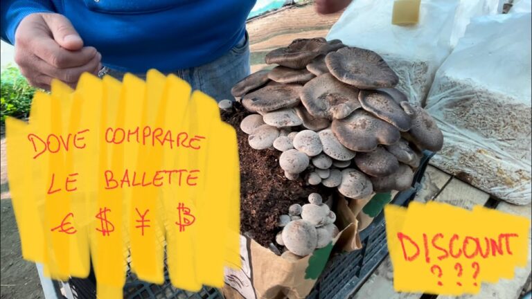Scopri le Zollette di Zucchero Eurospin: Qualità e Convenienza