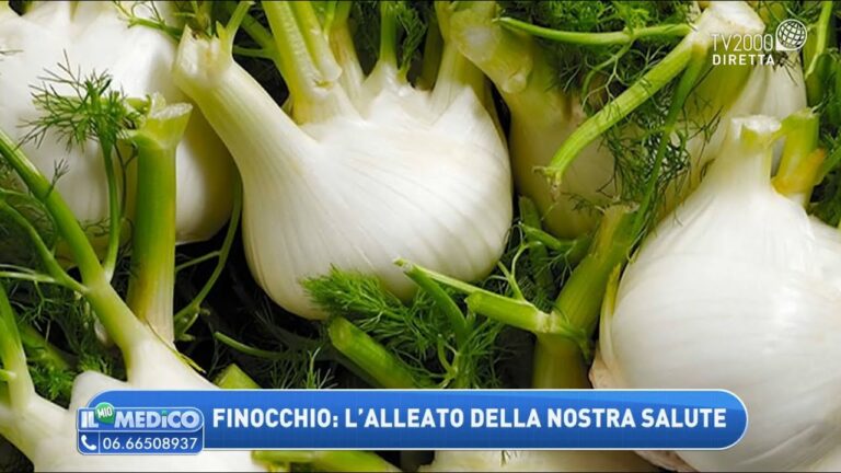 Benefici e Calorie dei Finocchi Crudi