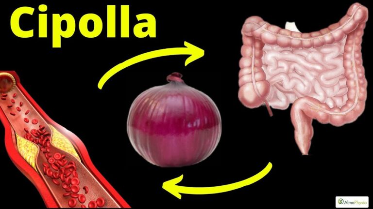 Cipolla a Dieta: Benefici e Ricette Salutari