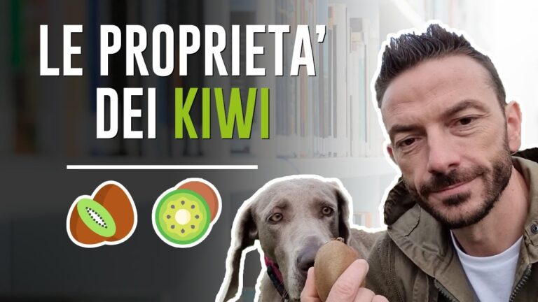 Benefici dei Carboidrati nel Kiwi