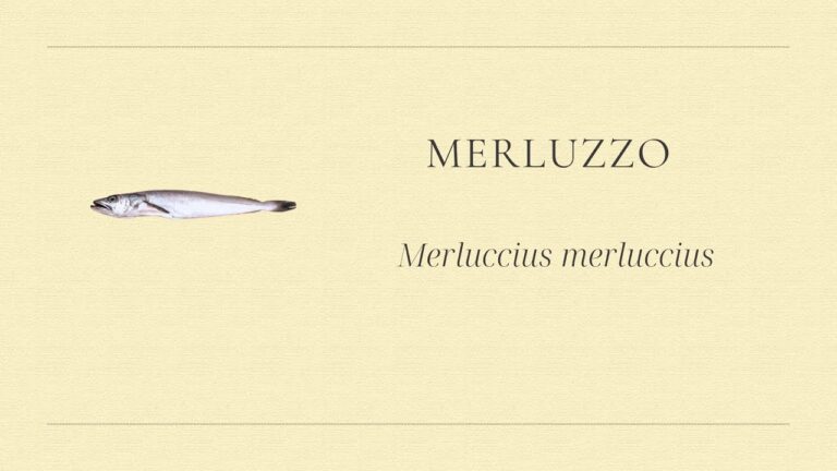 Proprietà Nutrizionali del Merluzzo: Un Superfood da Scoprire