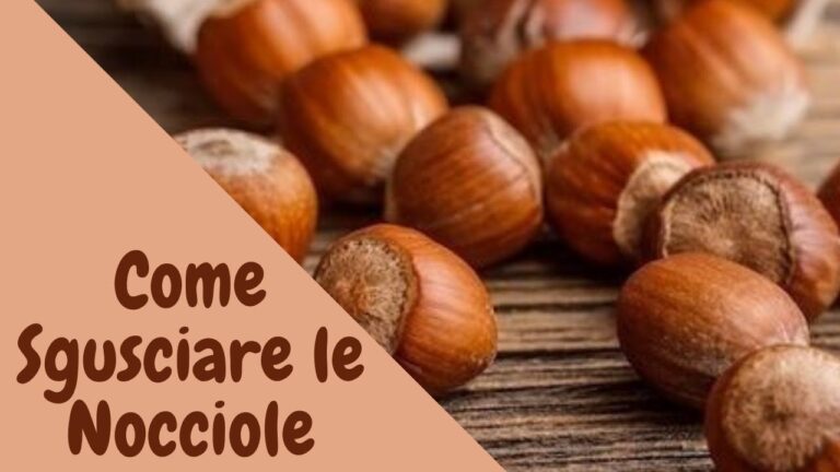 Calorie delle Nocciole Sgusciate: Benefici e Valori Nutrizionali