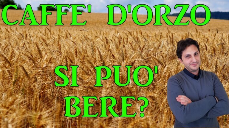 Proprietà Nutrizionali dell’Orzo Bimbo