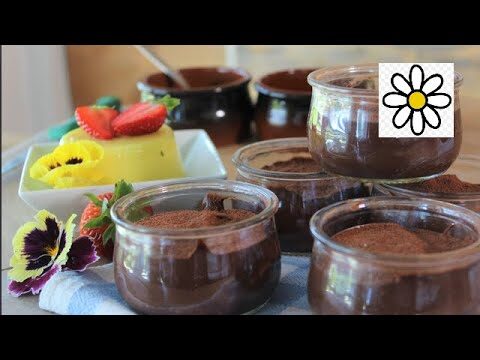 Meritene Budini: Nutrizione e Gusto in Un Solo Prodotto