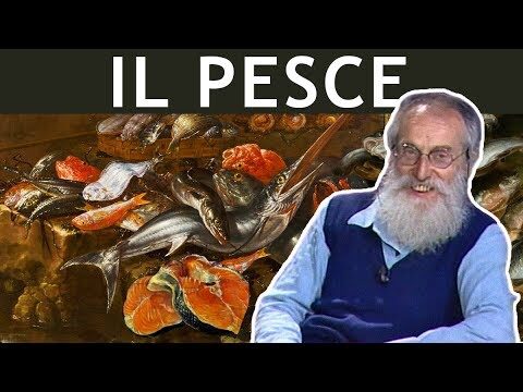 Le vongole e il colesterolo: cosa sapere