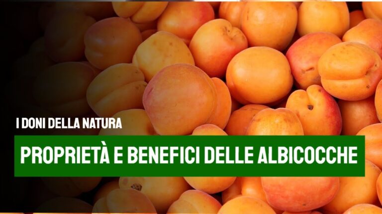 Calorie delle Albicocche: Valore per 100 Grammi