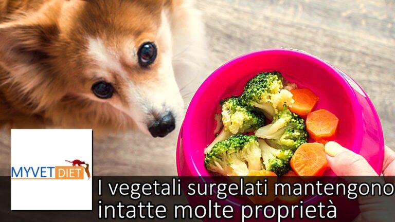 Valori Nutrizionali delle Verdure Surgelate: Una Guida Essenziale