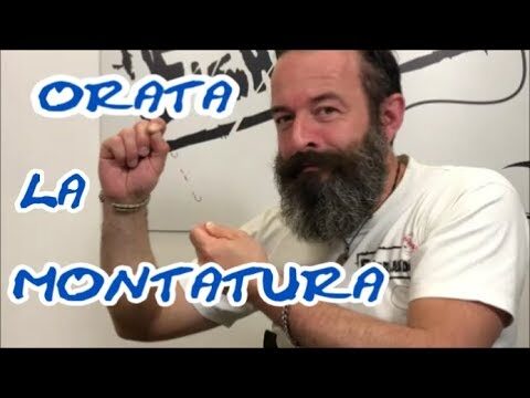 Il Peso dell’Orata: Tutto Quello che Devi Sapere