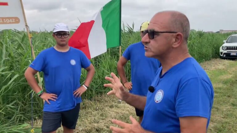 Calorie della Pesca Bianca: Guida Nutrizionale