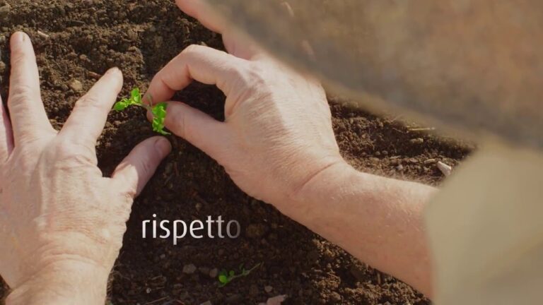 Scopri i Vantaggi dei Prodotti Primia