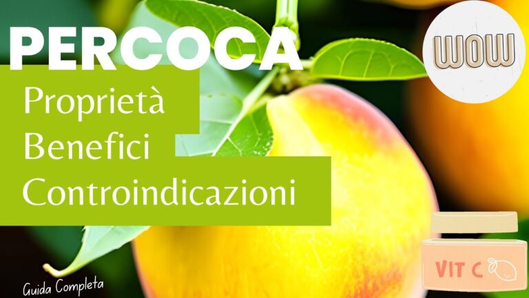 Calorie del Percocet: Cosa Devi Sapere